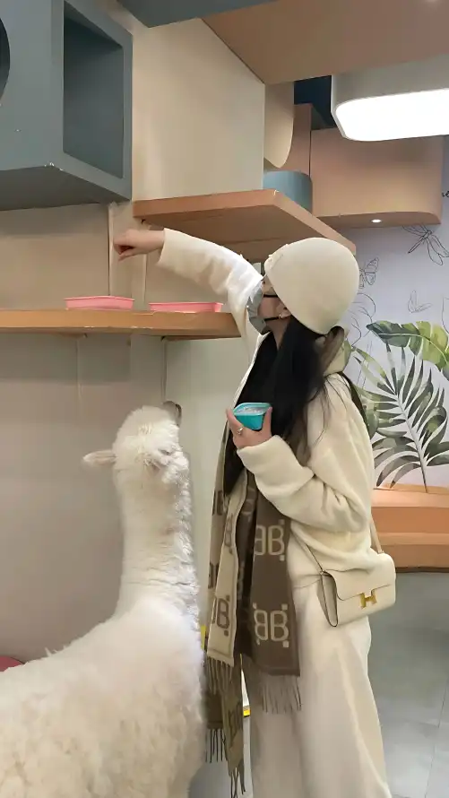 国自产精品手机在线视频_18禁区美女免费观看网站_24小时日本在线观看完整版